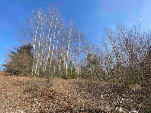 Lot 34 Scenic Hills Dr, Williamsburg, MI, 49690 | Card Image