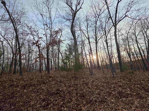 L39 B1 Nakoma Drive, Cherokee Village, AR, 72529 | Card Image