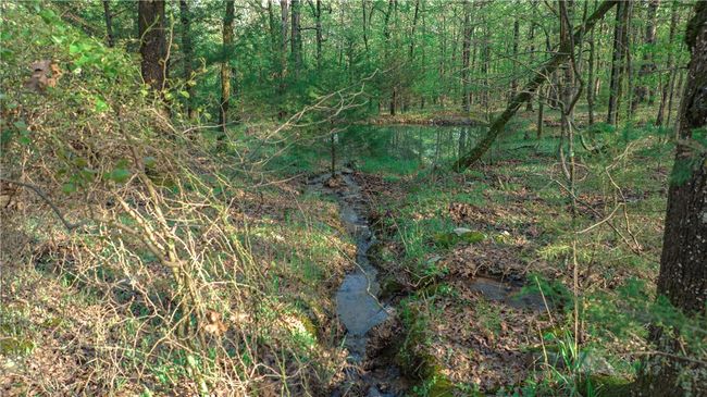 Natural spring | Image 23