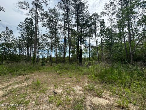 Lots 35/36 Tampa Circle, Pearlington, MS, 39572 | Card Image