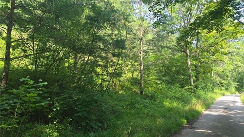 0 Walters Run Rd, Ripley, WV, 25271 | Card Image