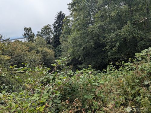 0 Lamontay Pl, Ilwaco, WA, 98624 | Card Image