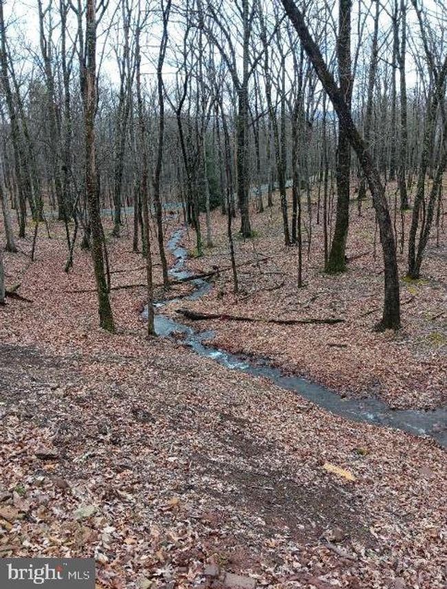 598 Honey Locust Ln, House other with 3 bedrooms, 2 bathrooms and null parking in GREAT CACAPON WV | Image 11
