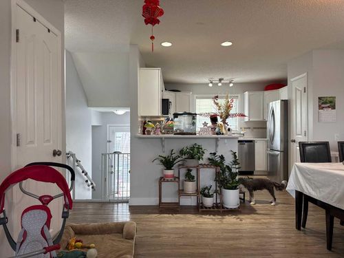 {{alt}} | Card Image