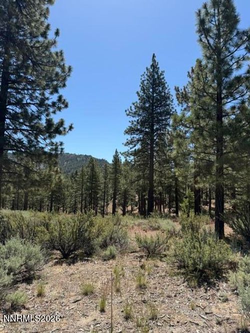 205 Haskell Mill Ct, Carson City, NV, 89705-6941 | Card Image