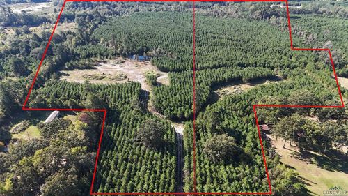 28 Fm 726, Jefferson, TX, 75657 | Card Image