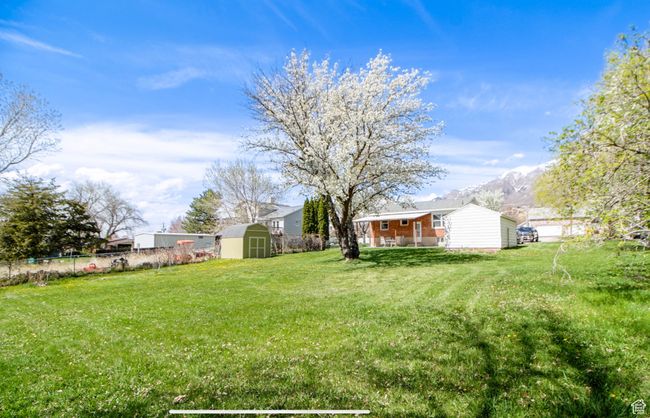 View of yard | Image 24