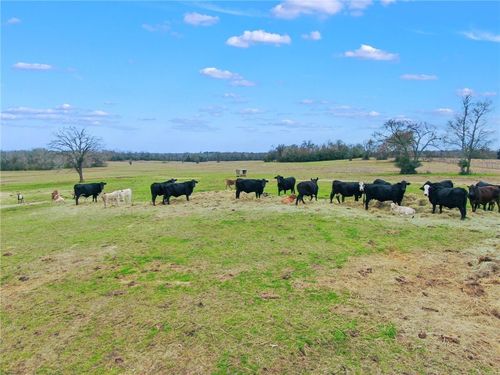 TBD Pleasant Grove Rd, Iola, TX, 77861 | Card Image