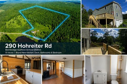 290 Hohreiter Rd, Bainbridge, NY, 13733-3370 | Card Image