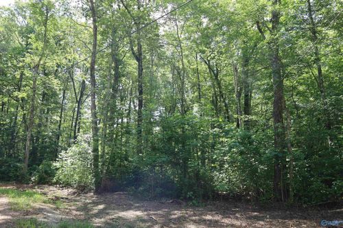 1.47 Acres Libby Lane, Mentone, AL, 35984 | Card Image