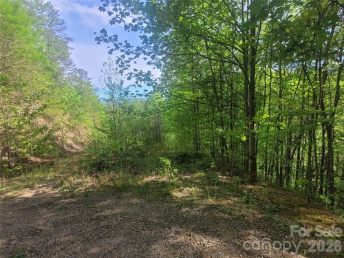 53-99999 Wolverine Court, Waynesville, NC, 28785 | Card Image