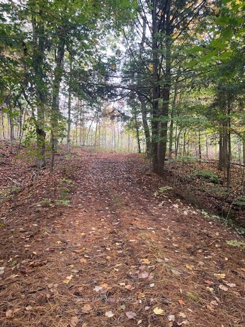 1738 County 2 Road, Edwardsburgh/Cardinal, ON, K0E1T0 | Card Image