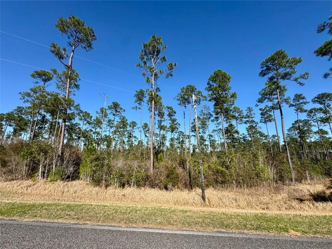 0 Robert White Rd, Home with 0 bedrooms, 0 bathrooms and null parking in Bay Minette AL | Image 23
