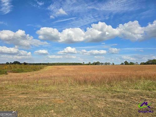 12 Hay Field Road, cochran, GA, 31014 | Card Image