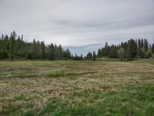 X E Jump Off Rd, Valley, WA, 99181 | Card Image