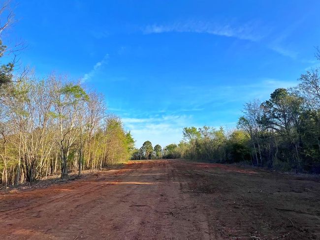 99 Cr 2107, Home with 0 bedrooms, 0 bathrooms and null parking in Rusk TX | Image 21