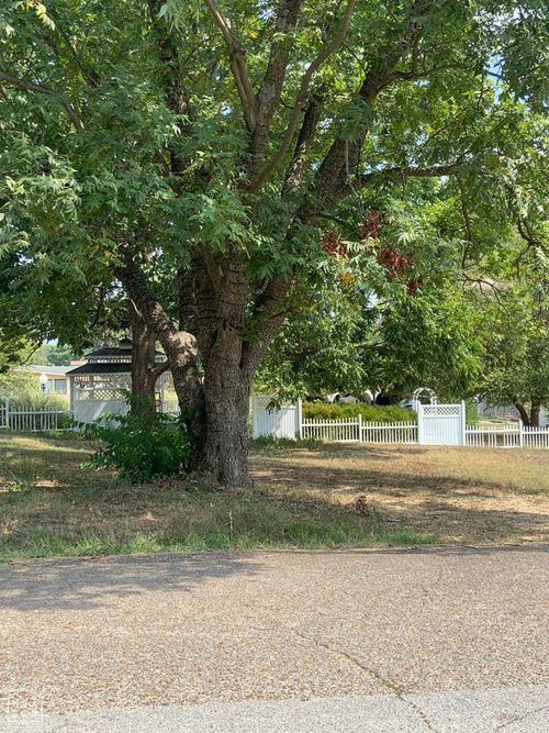 3710 W Kingshighway, Paragould, AR, 72450-2512 | Card Image