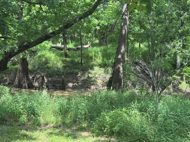 12215 Fm 442 Rd, House other with 2 bedrooms, 1 bathrooms and 1 parking in Boling TX | Image 21