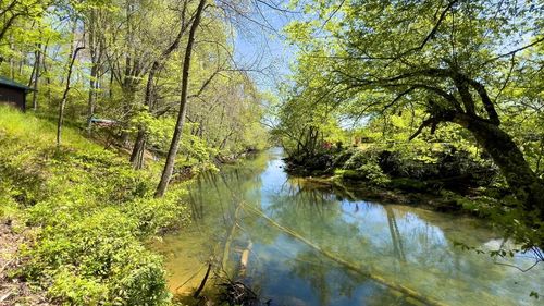 Lot 1 Myers Chapel Rd, Hayesville, NC, 28904 | Card Image