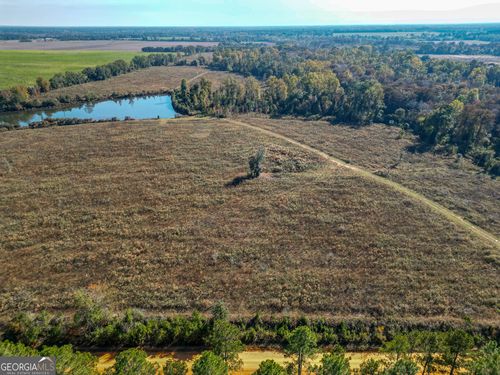 0 William Avera Rd, Morgan, GA, 39866 | Card Image