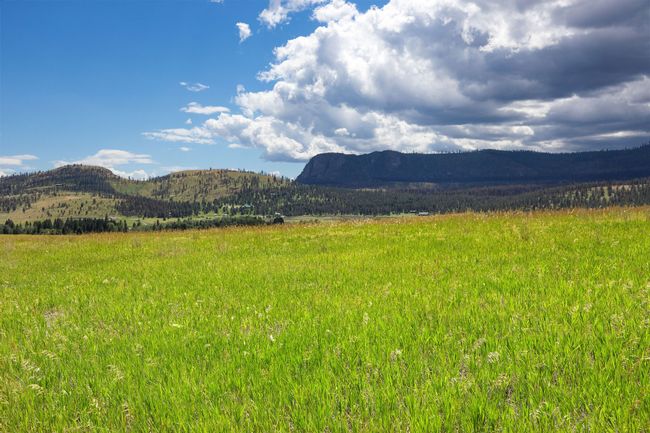 LOT-2C - NHN Lake Mary Ronan Road, Home with 0 bedrooms, 0 bathrooms and null parking in Dayton MT | Image 20