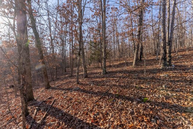 23 Acres009 | Image 11