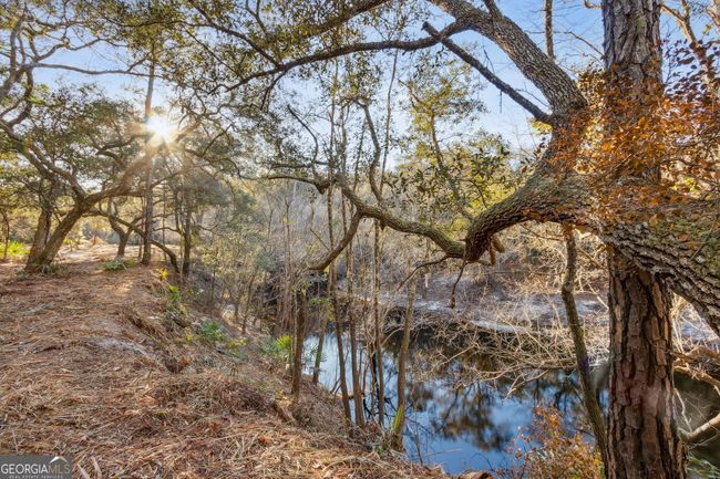0 Highway 185, Home with 0 bedrooms, 0 bathrooms and null parking in Saint George GA | Image 20