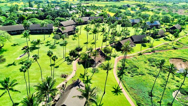 12B061226 - 255 Kepuhi Pl, Condo with 0 bedrooms, 1 bathrooms and null parking in Maunaloa HI | Image 19