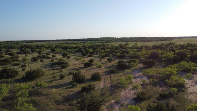 3609 Fm 1086, Home with 0 bedrooms, 0 bathrooms and null parking in Ovalo TX | Image 21