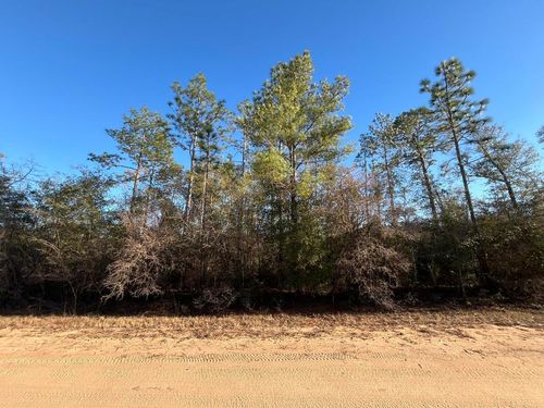 Tbd Goreville Ave, ALFORD, FL, 32420 | Card Image