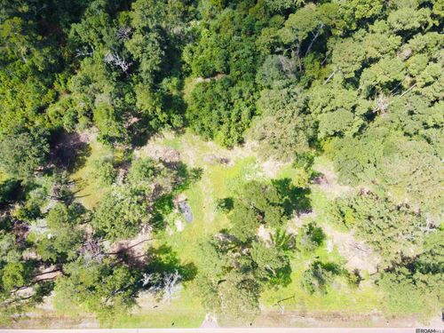 TBD M-2 Highway 1036, Holden, LA, 70744 | Card Image