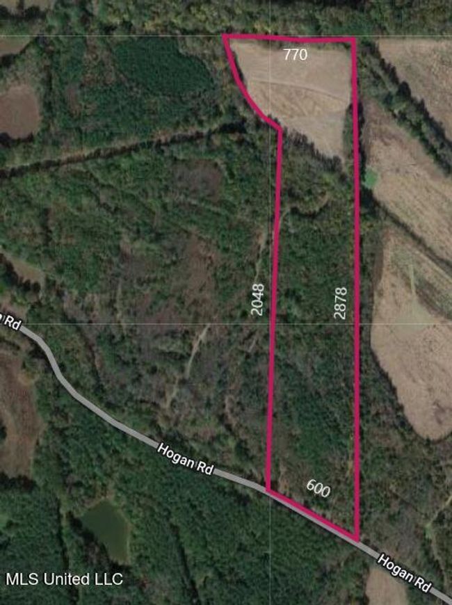 hogan 33 acres | Image 8