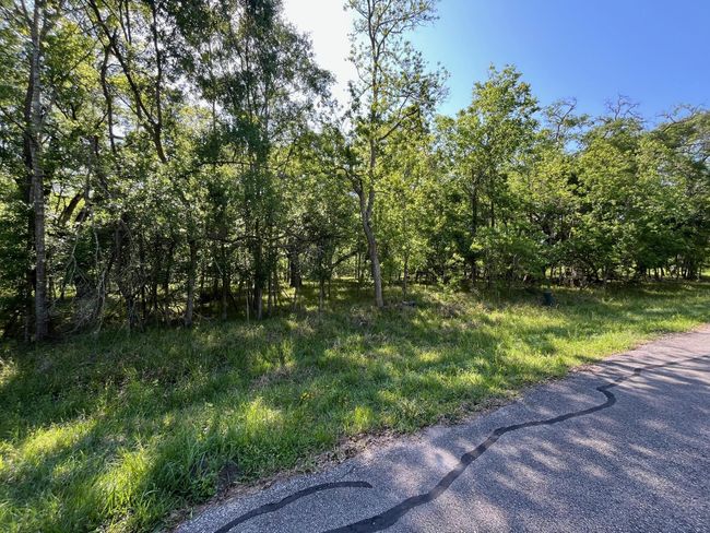0 Squirrel Holw, Home with 0 bedrooms, 0 bathrooms and null parking in Damon TX | Image 8