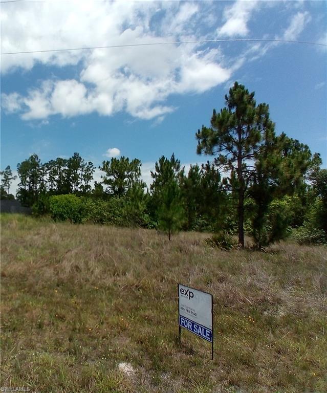 Land in LEHIGH ACRES 3