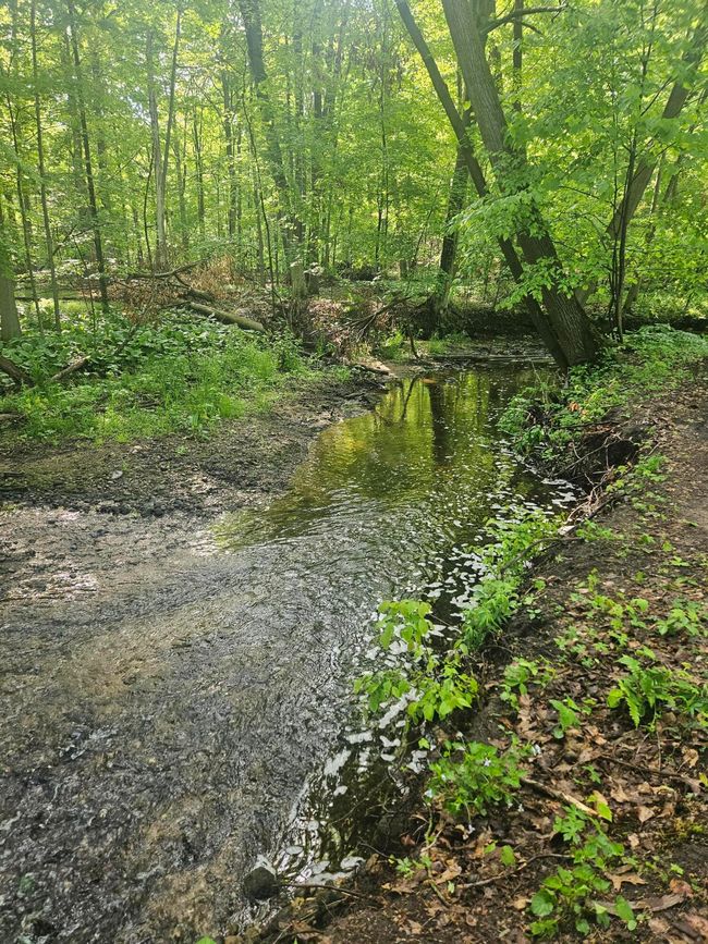 20240513_091157 | Image 9