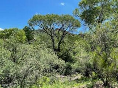 0-60 Harshaw Creek Rd, Patagonia, AZ, 85624-6000 | Card Image