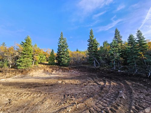 13-13 Pine Creek Dr, Mount Pleasant, UT, 84647 | Card Image