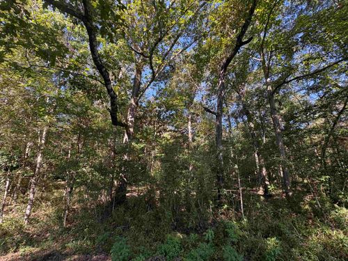 0 Fm-787, Thicket, TX, 77374 | Card Image