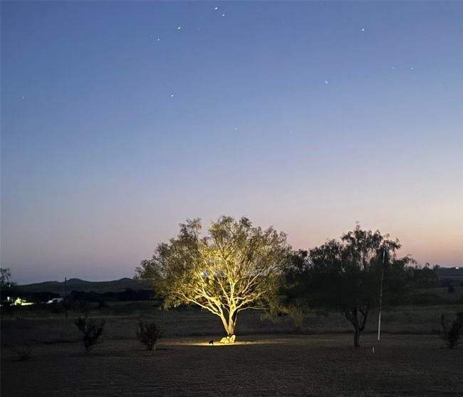 View of nature at dusk | Image 20