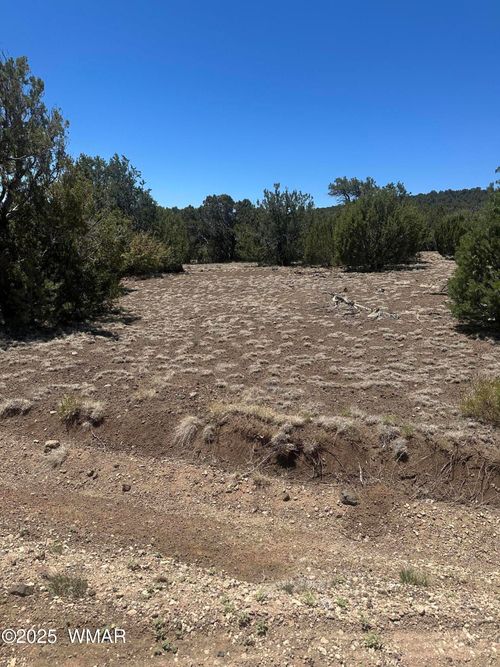 3195-3 County Road, Vernon, AZ, 85940 | Card Image