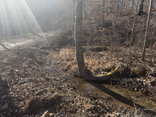 240 Golden View Ln, Hampshire, TN, 38461-1500 | Card Image