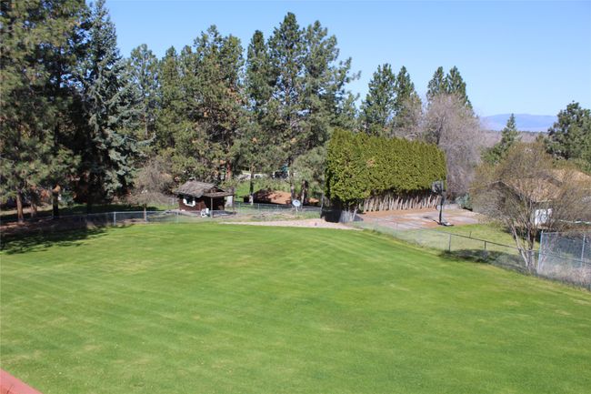 Rear Yard | Image 45