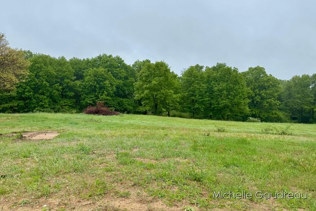 9 Leaf Lane, Home with 0 bedrooms, 0 bathrooms and null parking in Freeport MI | Image 6