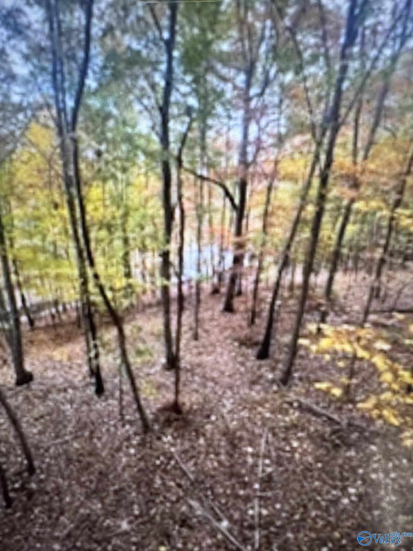 Land in Woodville 4