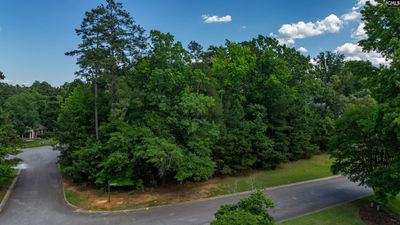 255 Lake Estates, Home with 0 bedrooms, 0 bathrooms and null parking in Chapin SC | Image 2