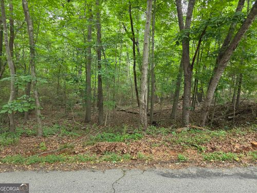 LOT 109 Arrowhead Drive, Lavonia, GA, 30553 | Card Image