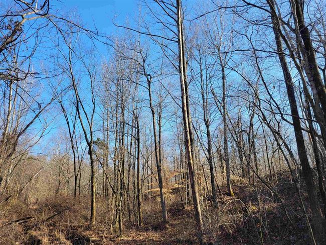 1250 Ashby Rd, Home with 0 bedrooms, 0 bathrooms and null parking in Centertown KY | Image 18