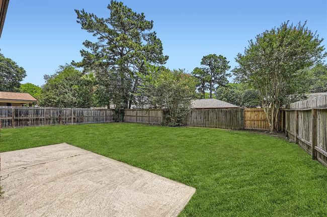 Backyard | Image 21