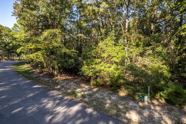 14632 Reserve Ct, Home with 0 bedrooms, 0 bathrooms and null parking in Tyler TX | Image 19