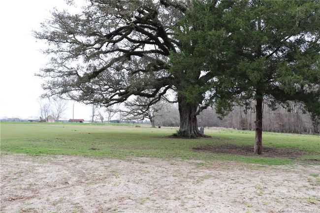 0 Highway 347, Home with 0 bedrooms, 0 bathrooms and null parking in Arnaudville LA | Image 19